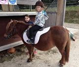 Stage poneys