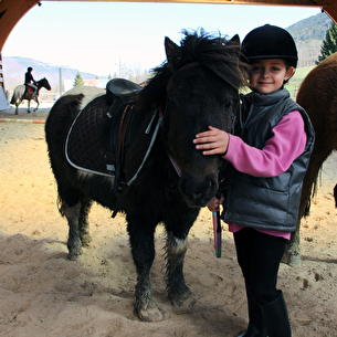 Balades et stage à poneys