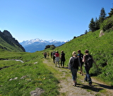 L'alpage des Rossets : Randonnée-découverte