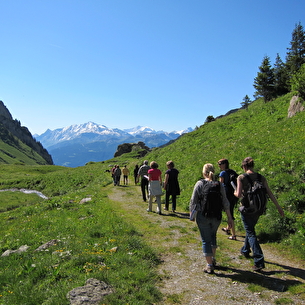 Randonnée en alpage