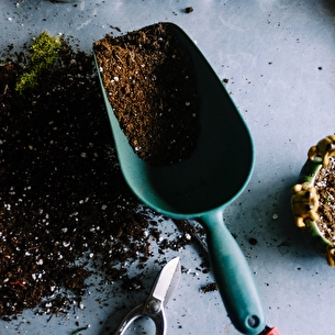 Atelier Do It Yourself: Jardin à emporter
