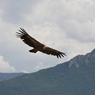 Vercors Tourisme