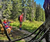 Sentier des Arpelières