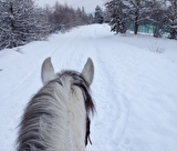 Serre Chevalier Equitation