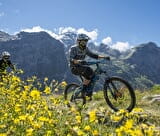 Parcours VTT de descente