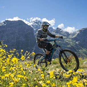 VTT