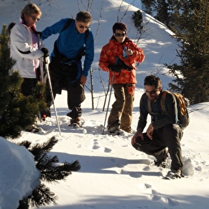 Sortie raquettes Bureau des Guides et Accompagnateurs de Chamrousse