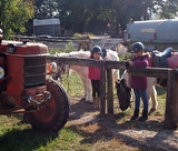 Location de poney à Sassenage