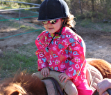 Stage poneys