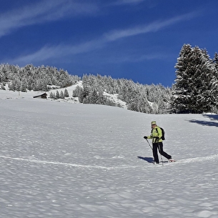 L'adret de Bisanne et ses chalets d'alpage