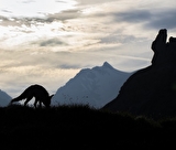 Photo de nature