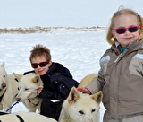 Baptême en traîneau à chiens