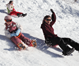 Luge