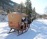 Traîneau à cheval au Grand-Bornand - Les attelages de la flèche blonde