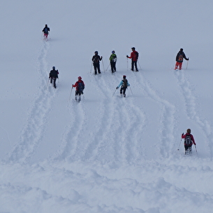 Randonnée en raquettes : Yoga des neiges et marche dans l'air des montagnes