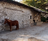 Balades à cheval nocturne sur le plateau du Vercors