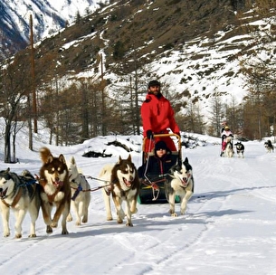 Balade en chiens de traineaux