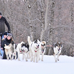 Chiens de traineau à Valloire en Savoie
