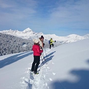 Immersion panoramique dans les alpages