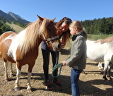 Mini stage poney : une matinée sur le Vercors