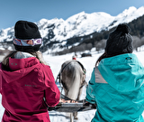 Initiation au Ski joëring - tous niveaux