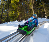 WizLuge20AA©actophoto_web
