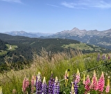 Circuit panoramique du Mont-Rond par le Bonnet blanc