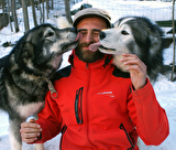 Balade en chiens de traineaux