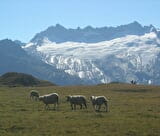 Sentier Balcon