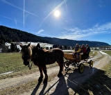 Balade en calèche