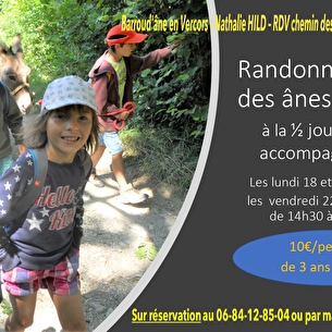 1/2 journée avec les ânes
