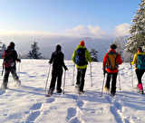 Sur les traces des animaux de montagne