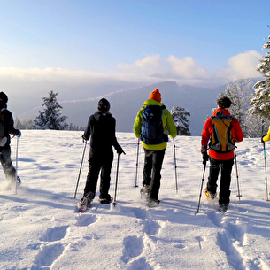 Sur les traces des animaux de montagne
