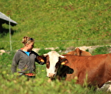 Nos producteurs de lait
