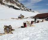 Baptême en traîneau à chiens