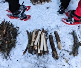 Bushcraft