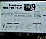 verger de la Balastière