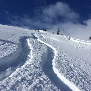 Ski freeride - niveau découverte (demi journée)