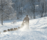 Baptême en chiens de Traîneaux