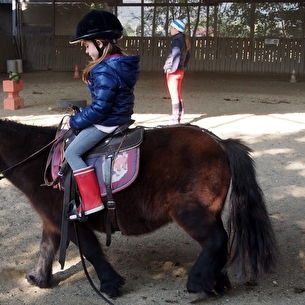Location de poney à Sassenage