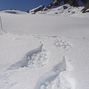 ESF (Ecole de ski français)