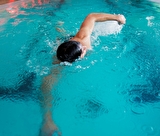 Nage adulte