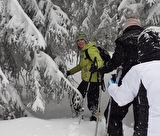 A pas feutres en forêt et panorama sur le Mont Blanc