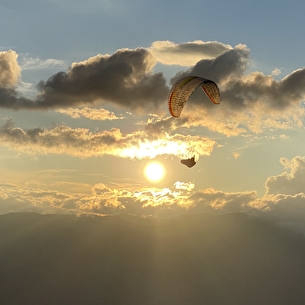 Darentasia