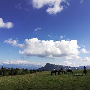 Balade à cheval sur le plateau du Vercors