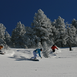 Ski alpin : secret de nos montagnes