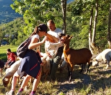 Gouter pastoral en été