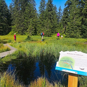 Sentier des Arpelières