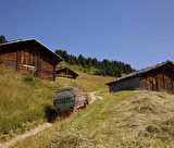 Rando journee panoramique avec repas savoyard à l'alpage face au Mont Blanc