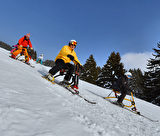Le Skibob dans le Val d'Arly